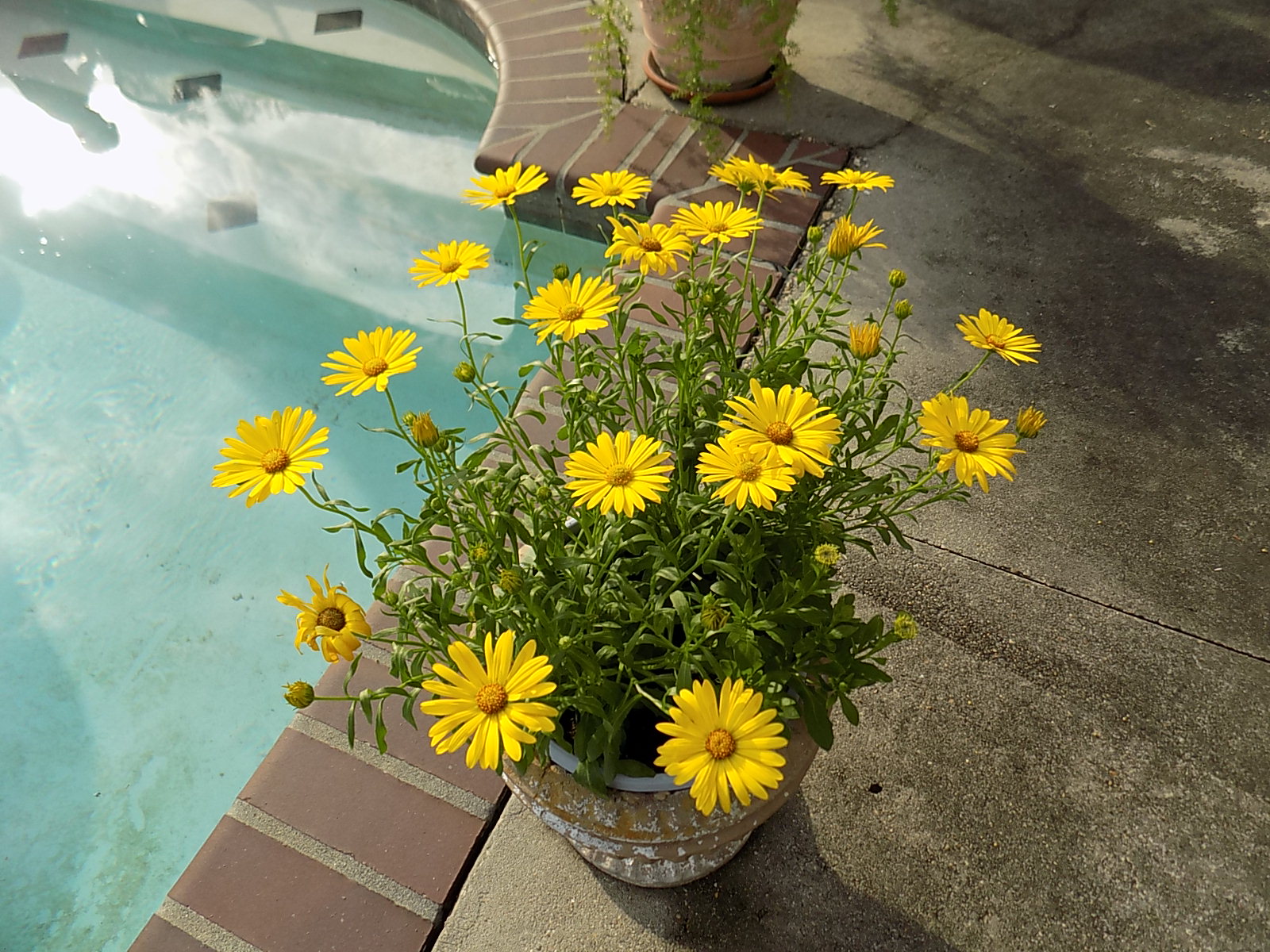 DSCN2851.JPG