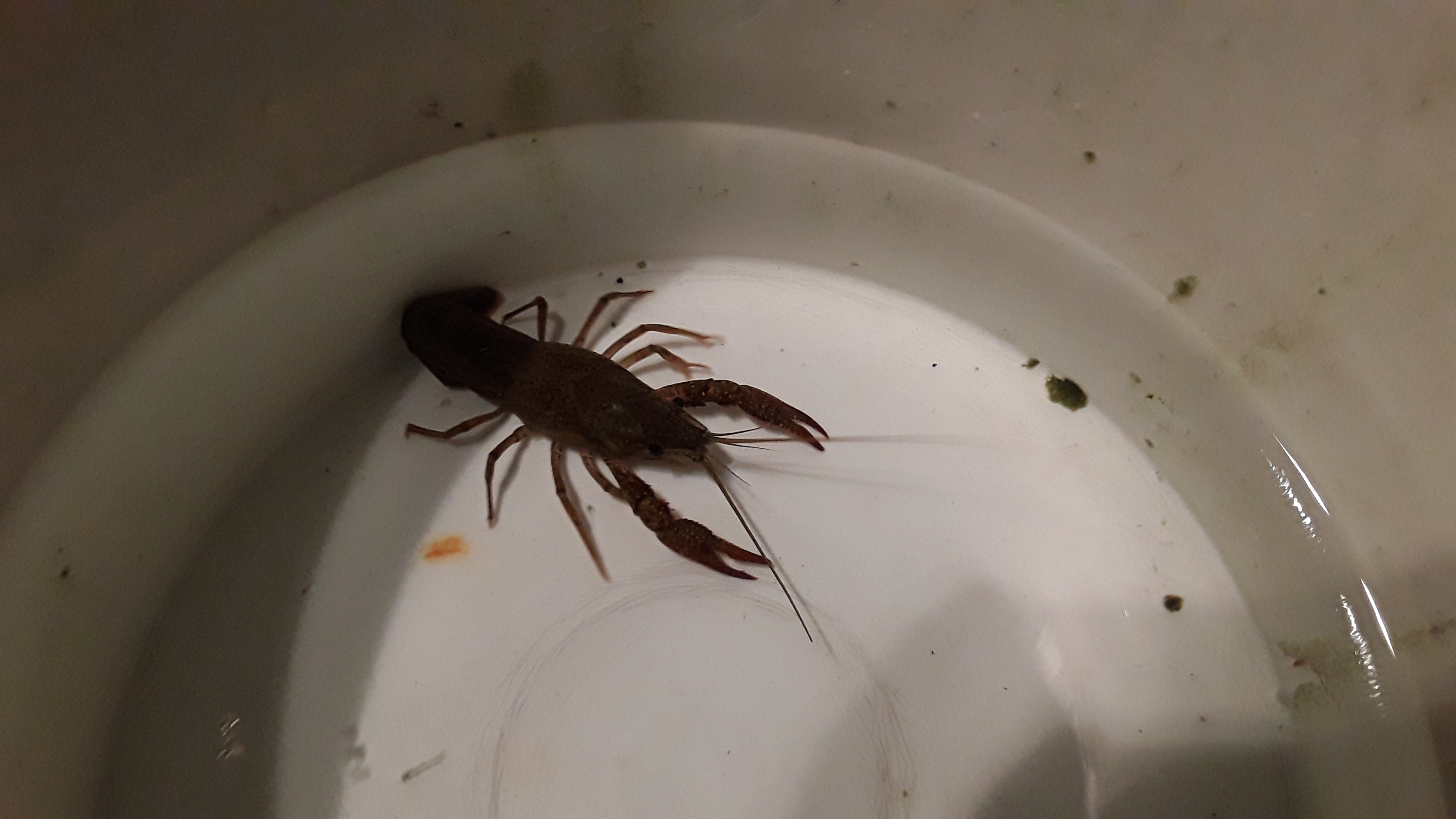 20190310_215422.jpg