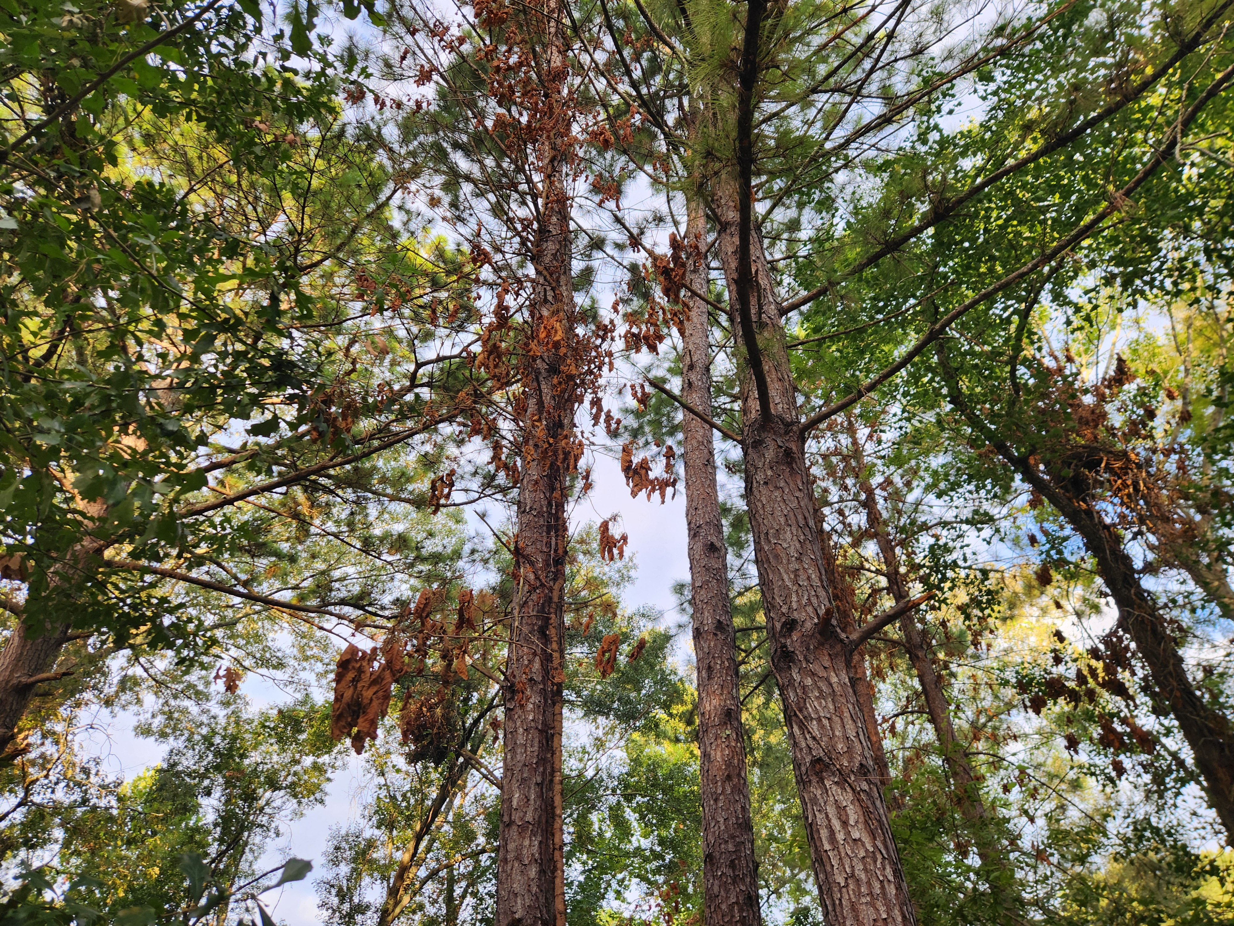 20260926_074539.jpg