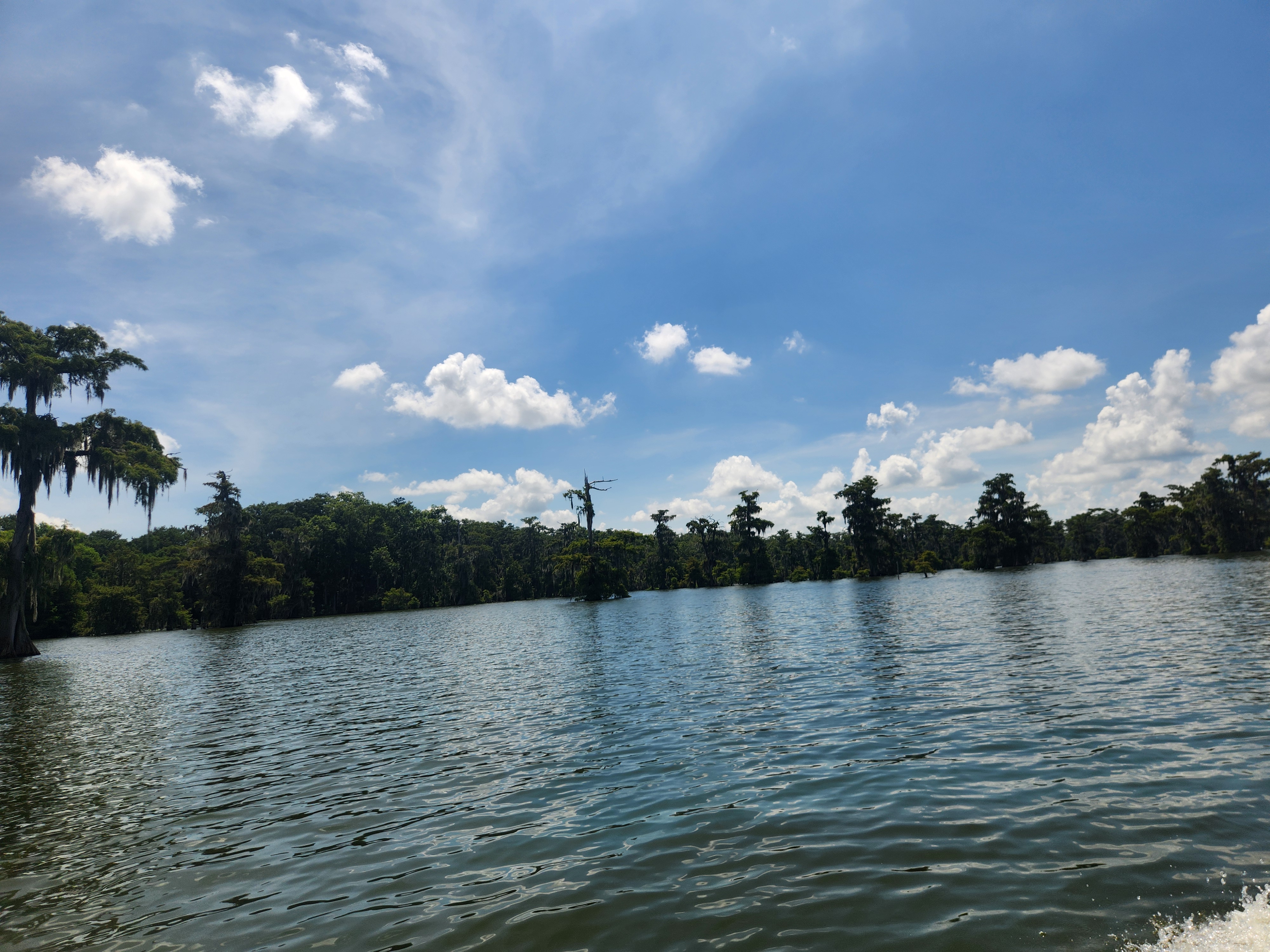 20260727_113520.jpg