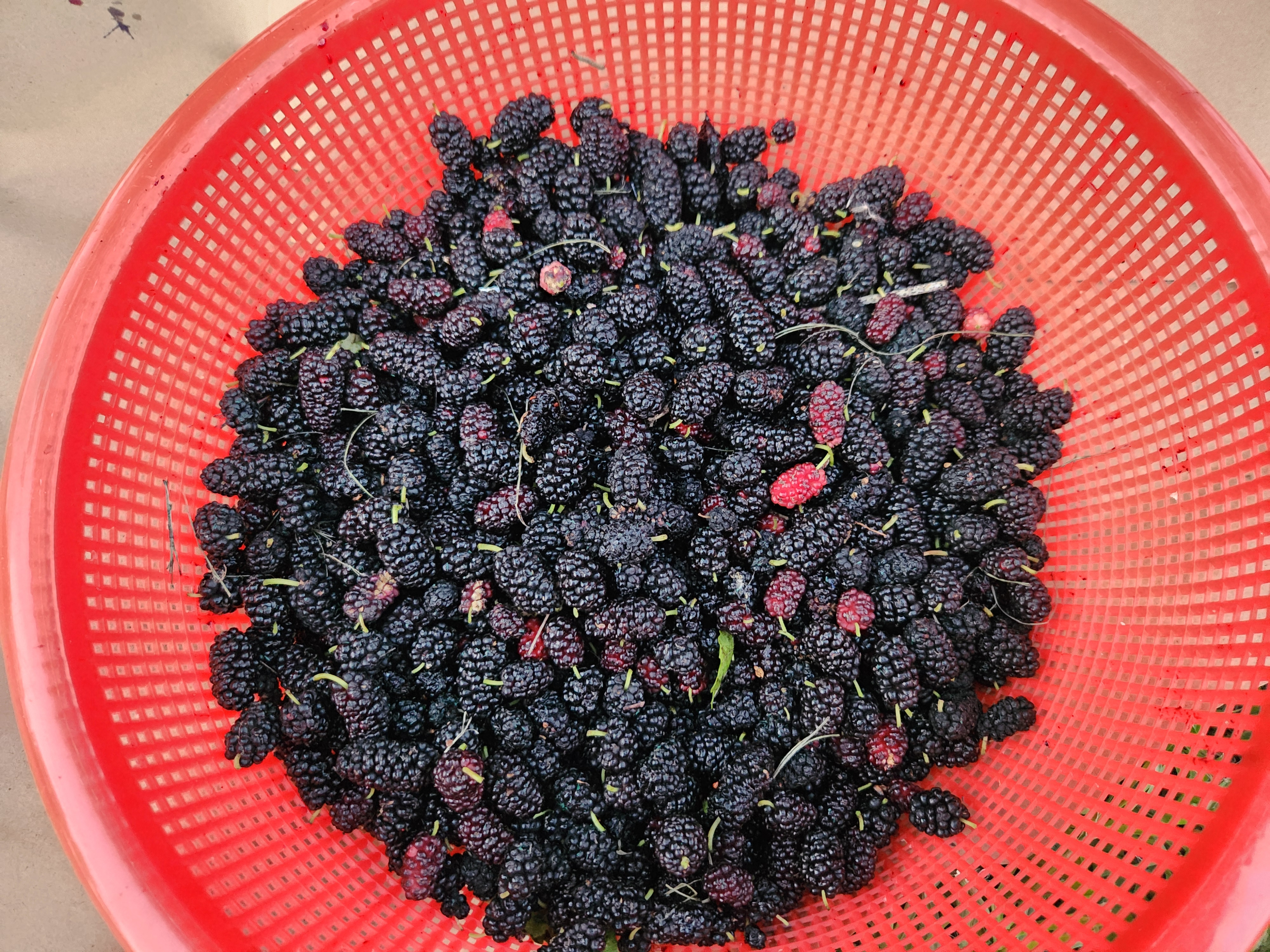 20250417_194625.jpg